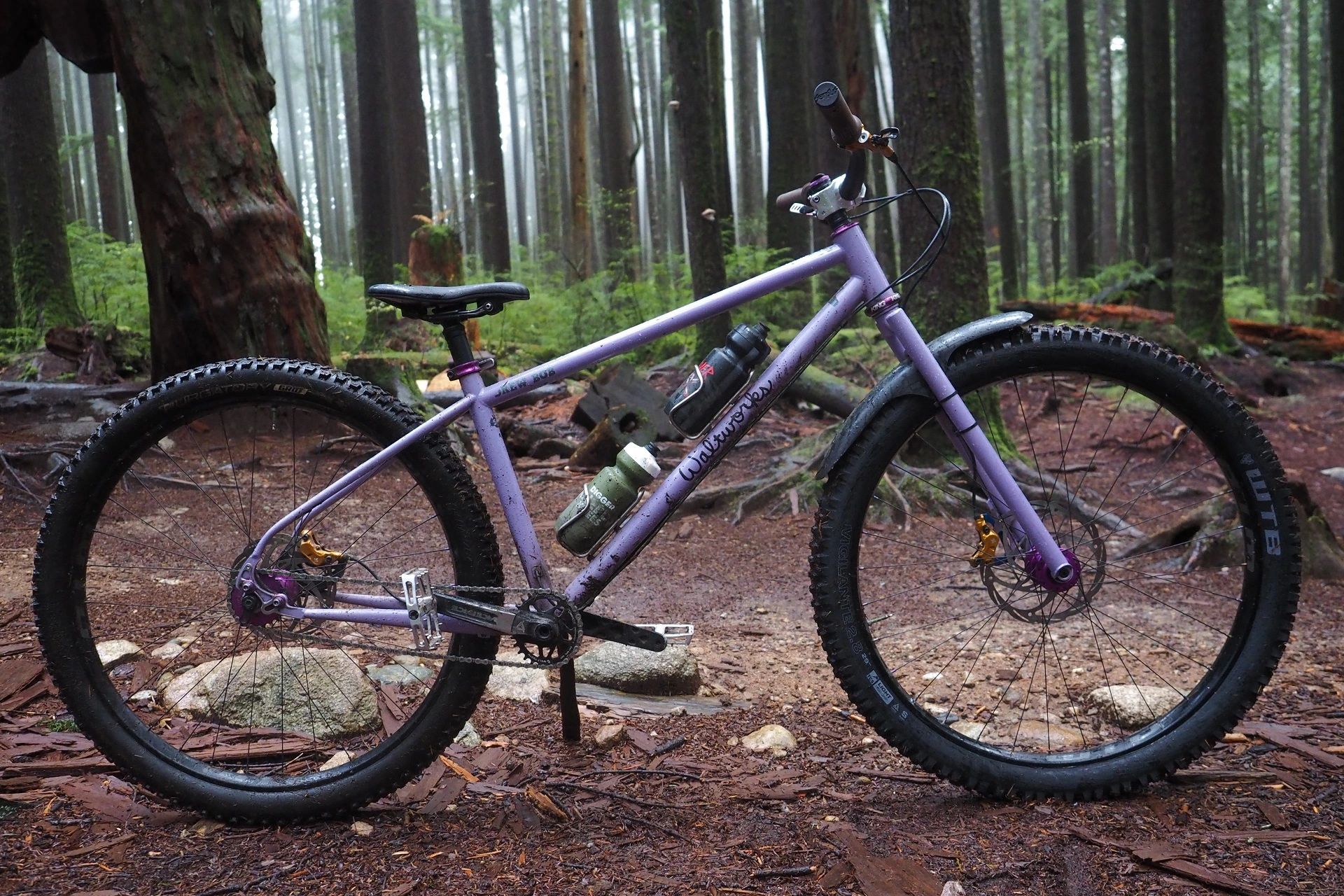 Custom Bike Reconsiderations